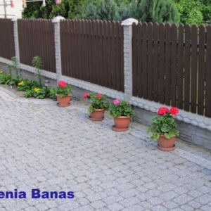 GALERIA