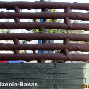 GALERIA
